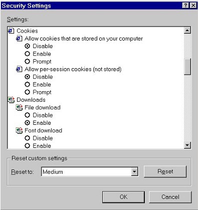 Security Settings: Cookies (IE 5)