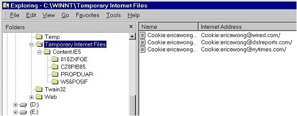 Viewing Cookies from \Temporary Internet Files