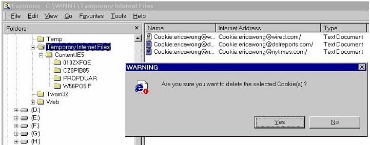Warning: Are you sure you want to delete the selected Cookie(s)?