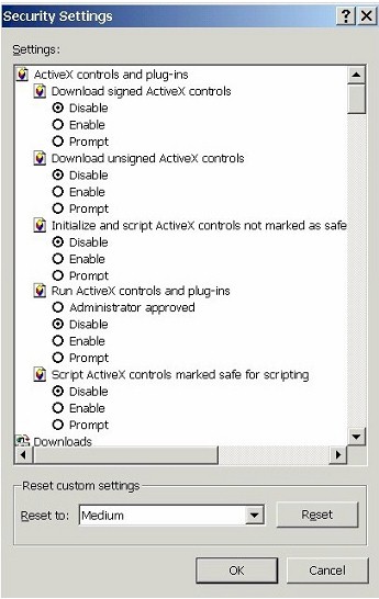 Security Settings: ActiveX controls and plug-ins