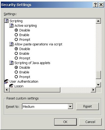 Security Settings: Scripting