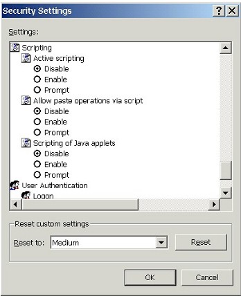 Security Settings: Scripting