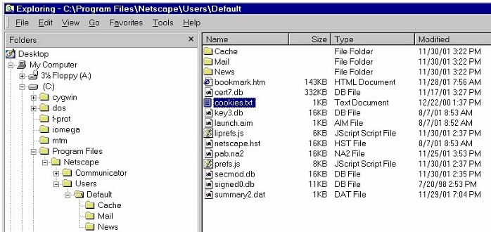 The cookies.txt file in the Netscape users folder
