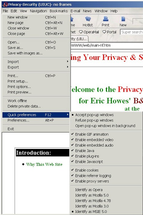 File >> Quick preferences...